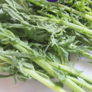 ESPIGALLS DE COL - Manat